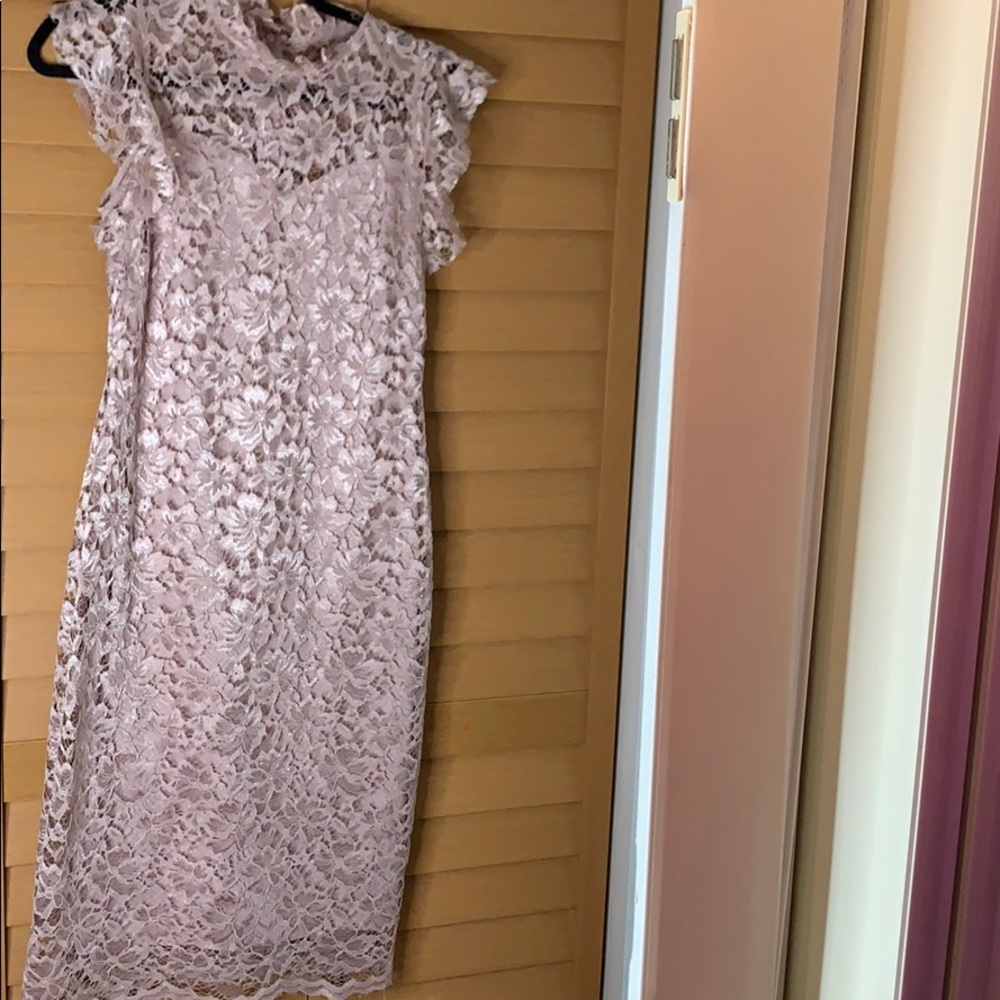 Mesh pale rose dress